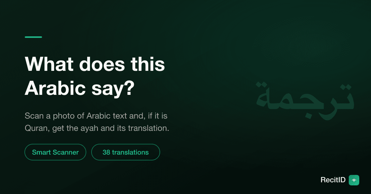 What Does This Arabic Say? How to Read and Translate Arabic From a Photo